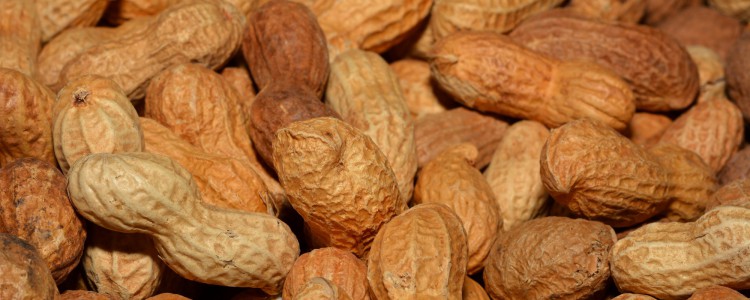 Votre présence sur internet vaut plus que des cacahuètes